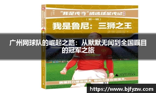 DG视讯官网