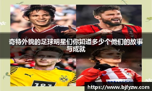 DG视讯官方网站